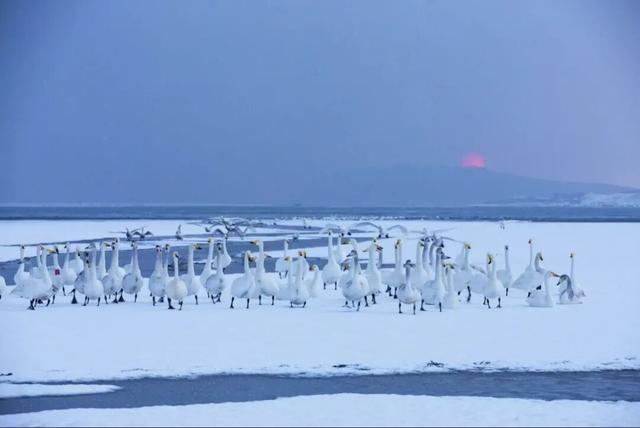 冬游威海｜一“杆”越山海，一“球”连中韩