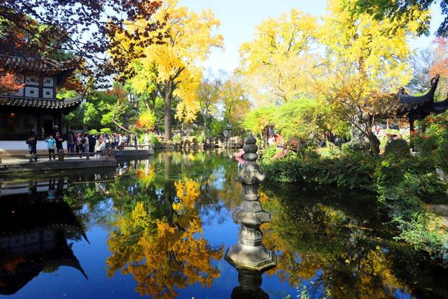 江苏苏州：游姑苏留园 赏金色银杏