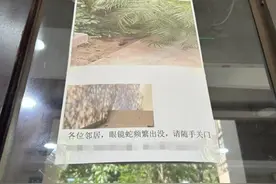 业主反映小区频繁有眼镜蛇出没 官方：赴现场处置未发现蛇，已督促物业采取多项措施图片