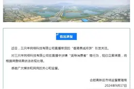 合肥对三只羊在直播中涉嫌“误导消费者”等行为立案调查图片