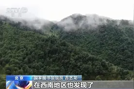 荼槚荈蔎茗 茶的这些名字你会念吗？一起溯源中国茶文化→图片