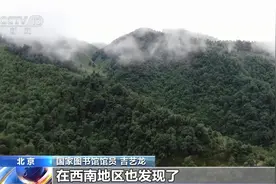 荼槚荈蔎茗 茶的这些名字你会念吗？一起溯源中国茶文化→图片