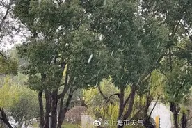 上海气象局回应下雪，冷锋过境撞上水汽，维持时间较短，气象博主：很少见的高温下降雪图片