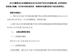 V观财报｜中化国际2023年业绩预告：亏损超16亿元图片