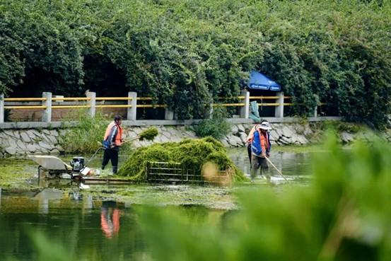 千年水脉润沃土，流绿成画映芳华：豆各庄“滨水会客厅”盛装启幕