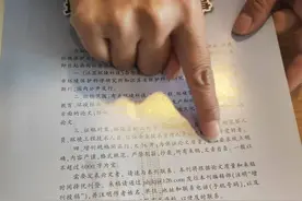 咋回事？这家公司一年起诉了200多家期刊图片
