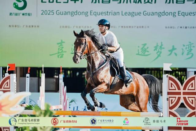 双节同庆 乐享三水丨免费畅玩！近20种珍奇动物亮相！云东海鸟类博物馆·萌宠乐园国庆试业
