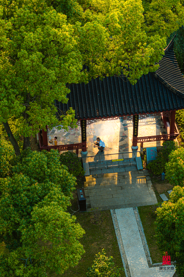 湖北这6座公园,你去过一半算我输!