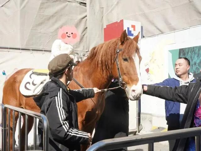 “马年春节不来看马戏，怎么叫过年？”