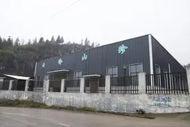 宜宾兴文：“鲜笋搬运工”上线 四季供应不断档图片