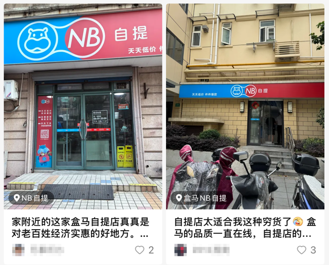 看来阿里要发力扶持盒马了