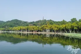 西湖边一辆没锁住的小红车，被人骑去了哪里？杭州女子找了三天图片