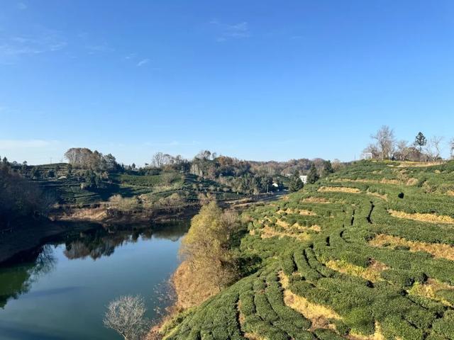 “沪六”对口合作走过三年：“瓜片产地”变身文旅小镇