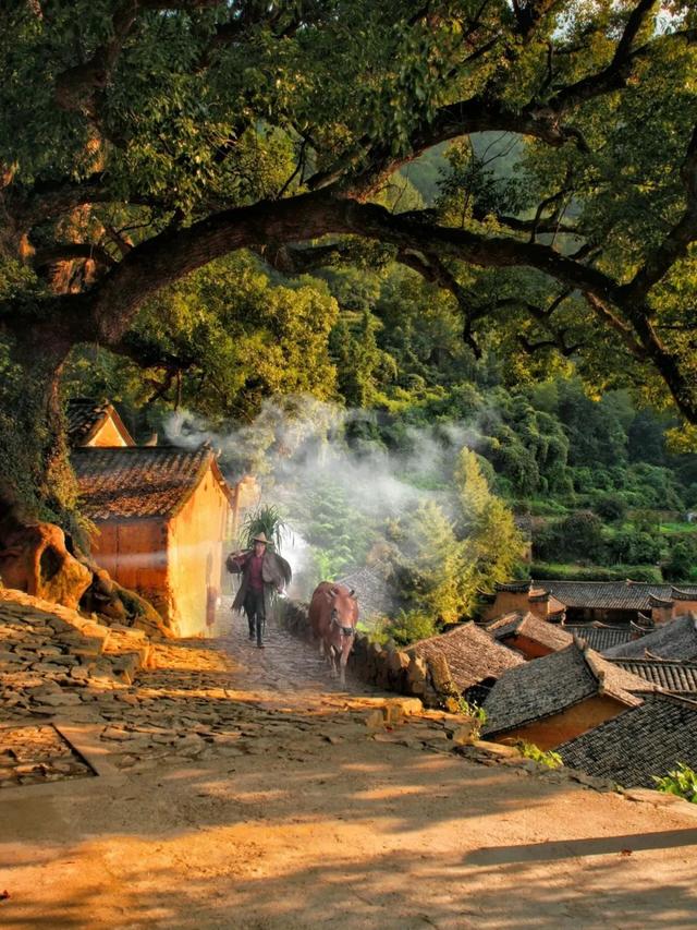 松阳游学丨国家地理强推！这座被偏爱1800年的浙江古城，究竟有多绝！（9/12-14）