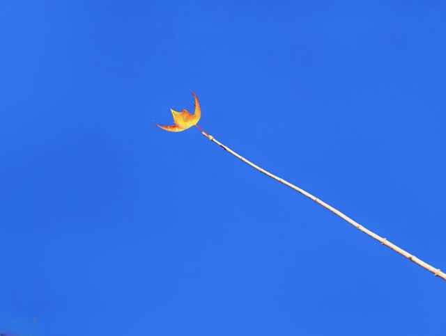 初冬北京，碧水蓝天美景好治愈