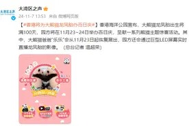 香港海洋公园：将为大熊猫龙凤胎举办百日庆图片