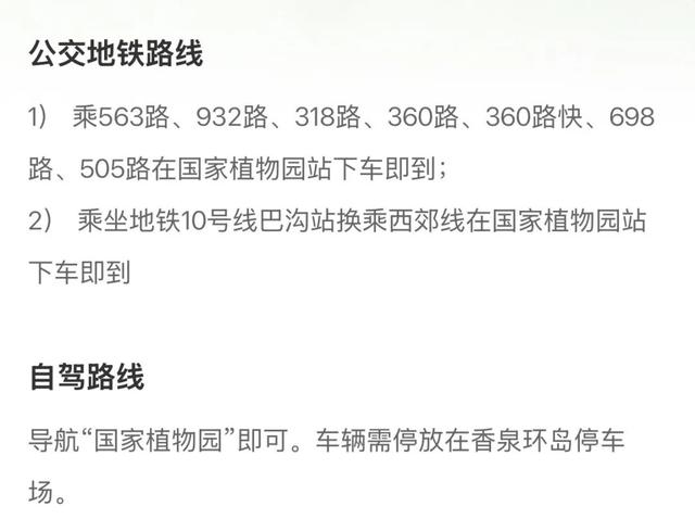 金色瀑布！北京这些千年古银杏正在最佳观赏期！
