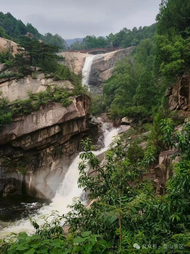 天晴了，雨停了，泰山云海先睹为快