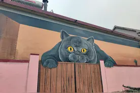 沂源县石桥镇藏着“喵星人基地”图片