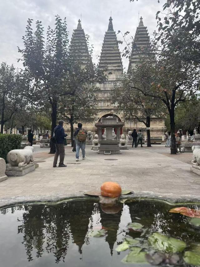 游客为柿子而来，五塔寺里有一处网红拍照点