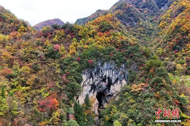 湖北神农架“上线”层林尽染美景