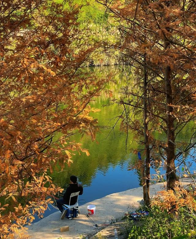 现在的黔南，已经美成这样了→