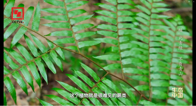 星湖，惊艳全国！这里到底有多美？