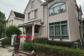 【以案释法】迁移树木需许可  护绿意识要加强图片