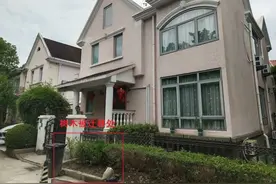 【以案释法】迁移树木需许可  护绿意识要加强图片