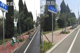 文明青岛随手拍｜共享单车停放别任性，“随手拍”让交通秩序更文明图片