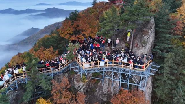 观“五花山”色 享森林康养｜“十一”期间伊春市景区接待游客同比增长54.2%