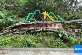 冬游海南 | 五指山冬季旅游热度攀升，雨林风光与民族文化成亮点图片