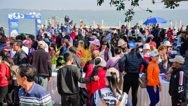 辞旧迎新游美兰！元旦活动+超值福利，收好就出发→