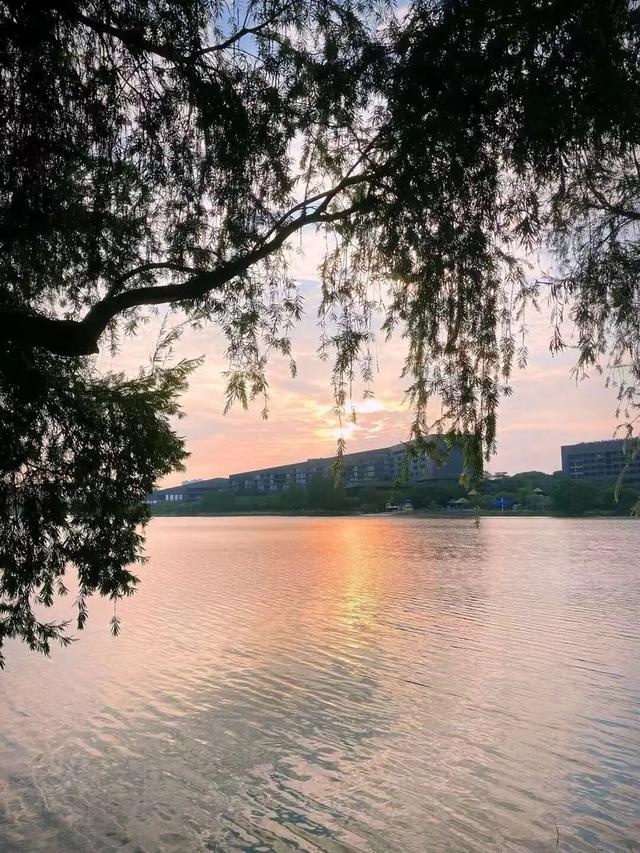 最美松湖 | 烦恼No，捡秋Go！来这里一键切换治愈模式