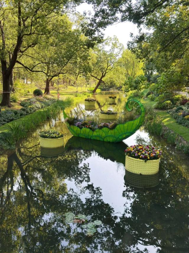 免费打卡5000平方米花海、500个品种菊花……上海“莫奈花园”又上新了！