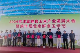 第十届北京鲜食玉米节开幕，玉米新品种“飞花”亮相图片