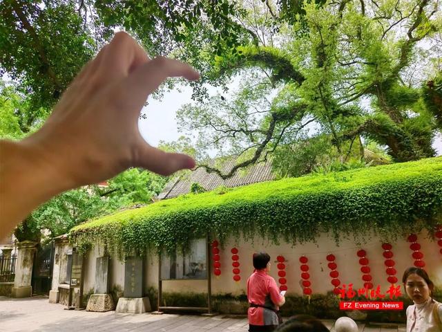 突然爆火！就在福州市中心！很多人从外地赶来打卡