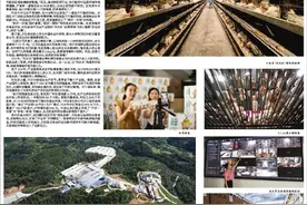 【市州党报关注】天柱县：百万羽蛋鸡的科技“梦工厂”图片
