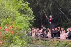 “和叶”“花花”被吓坏，园方通报：张某某（19岁，男），终身禁入！图片
