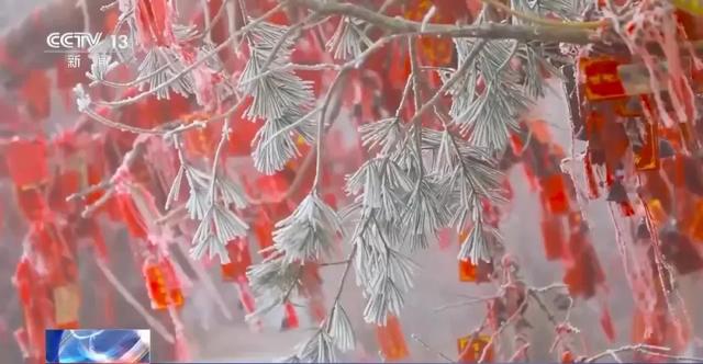 我国已经进入拉尼娜状态