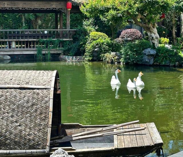 “到此一游”已过时，试试“到此一留”！黟县正迎接一场文旅蝶变