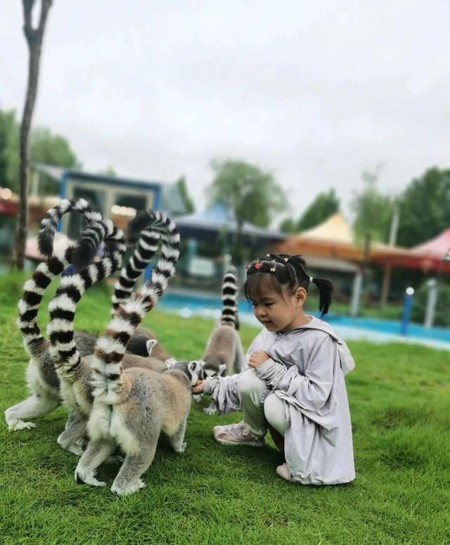 跟着马拉松看诸城（文旅篇）——诸城动物园