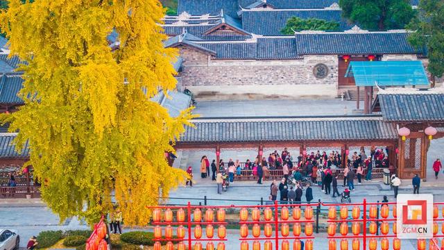 打卡正当时！王家大院解锁百年银杏“限定金色皮肤”