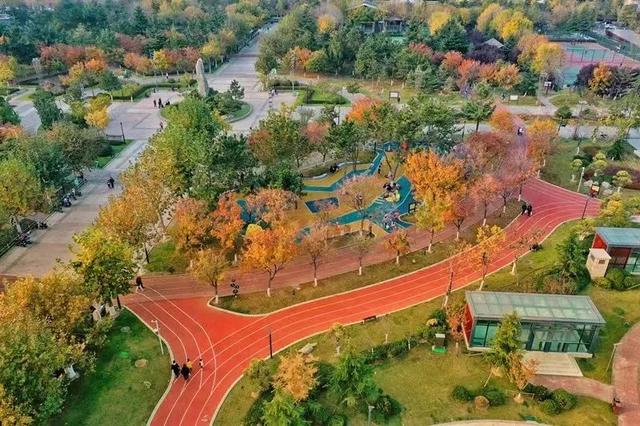 海风开道，秋色伴跑！威海喊你“动起来”~