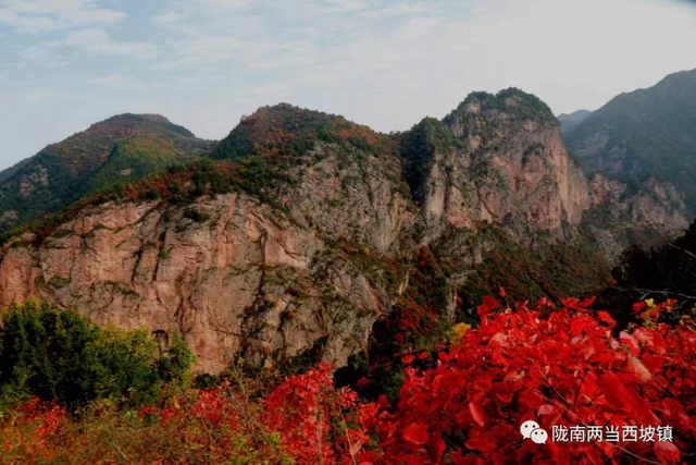 西坡镇：10月必推！最美红叶观赏地，满山红叶美得像油画！