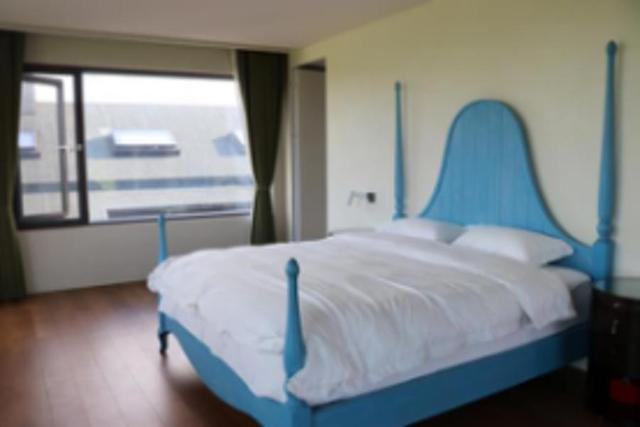 奉贤区景区限时免票或半价来了