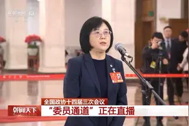 关于低空经济、新能源汽车……委员通道回应这些热点话题！图片