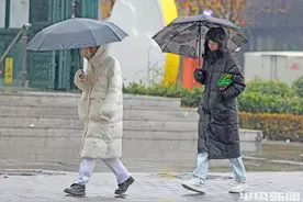 冷冷的“冰雨”图片