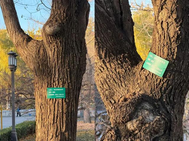 在北京花2元看“海”，这古早景点彻底翻红