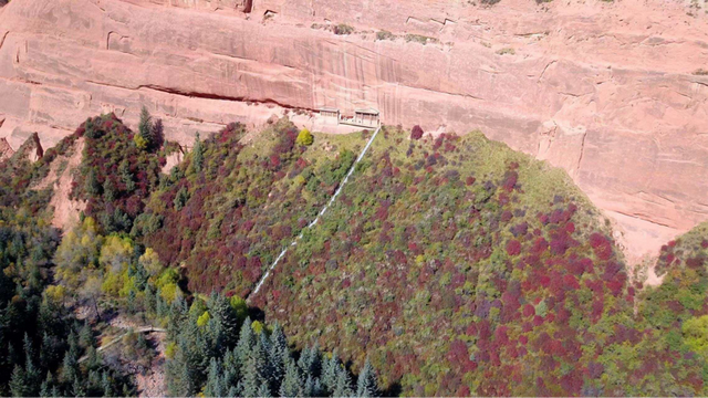 一位守窟人的二十年：与孤寂为伴，以赤诚守护“国宝”